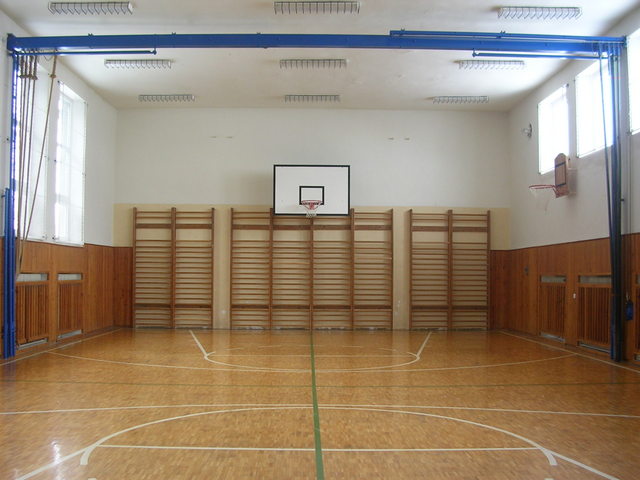 Tlocvina zvtit